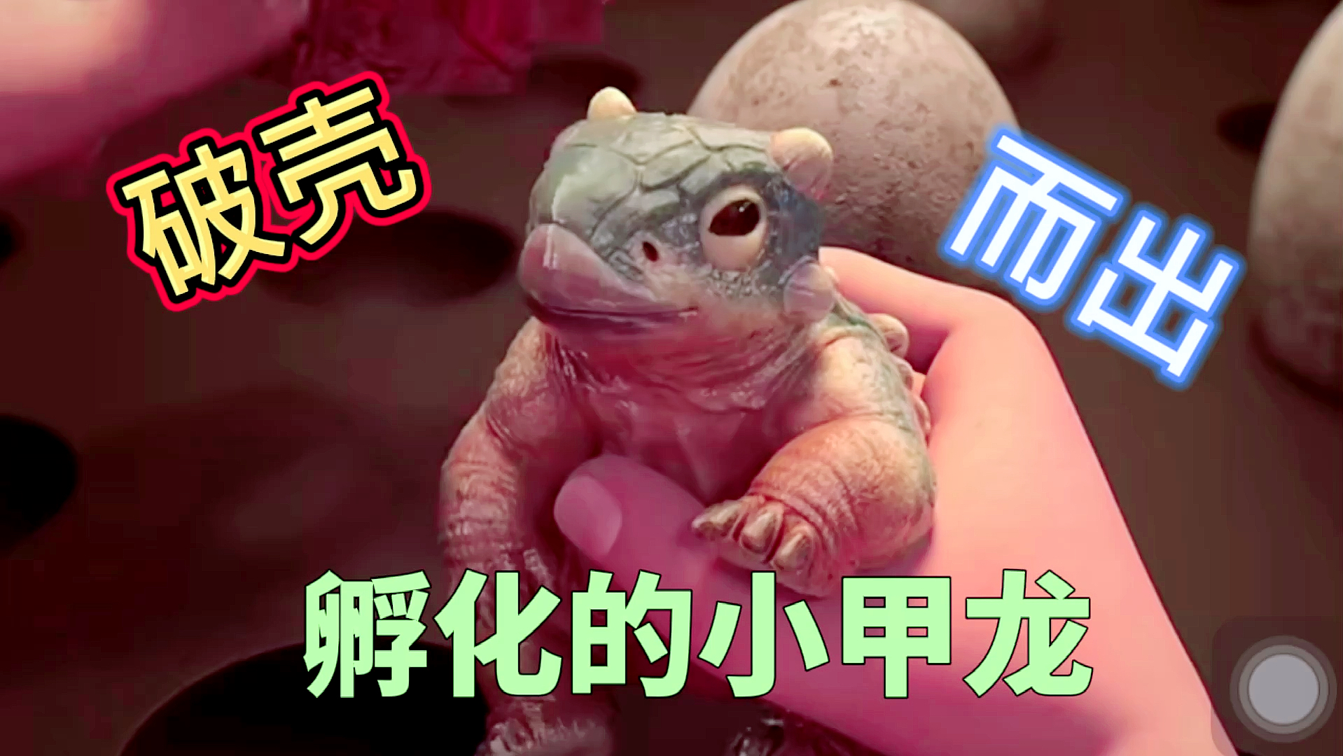 手机版孵化龙蛋屠魔令龙蛋怎么孵化